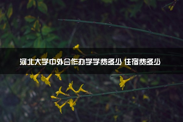 河北大学中外合作办学学费多少 住宿费多少