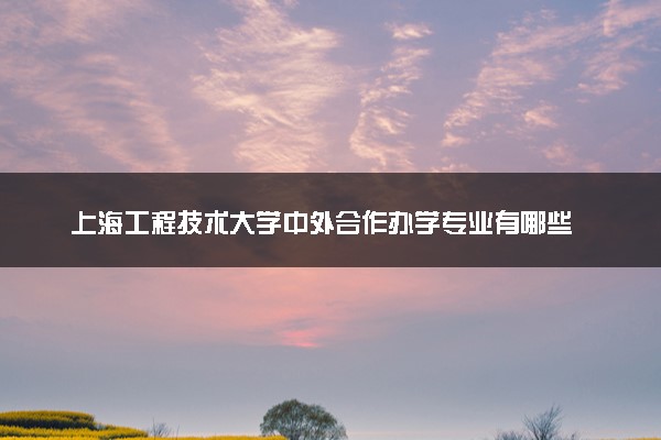 上海工程技术大学中外合作办学专业有哪些 好就业吗