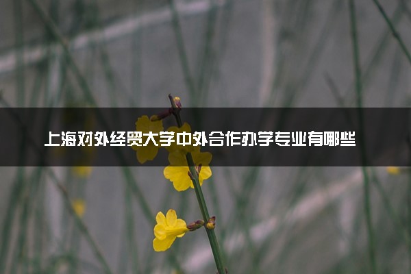上海对外经贸大学中外合作办学专业有哪些 好就业吗