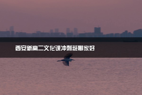 西安新高二文化课冲刺班哪家好