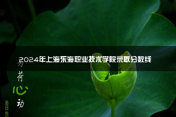 2024年上海东海职业技术学院录取分数线是多少 各省最低分数线及位次