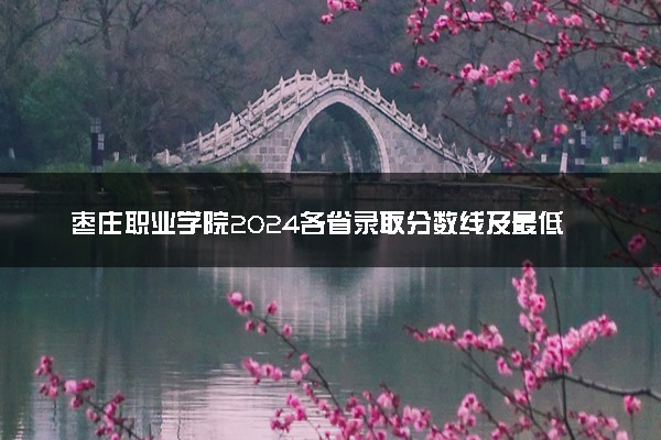 枣庄职业学院2024各省录取分数线及最低位次是多少