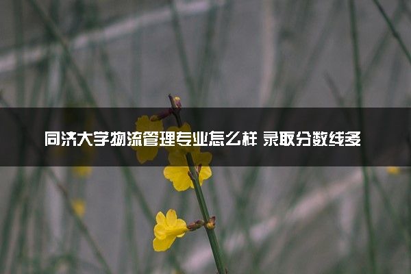 同济大学物流管理专业怎么样 录取分数线多少