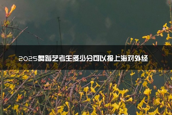 2025舞蹈艺考生多少分可以报上海对外经贸大学