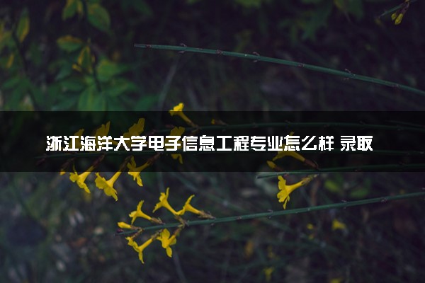 浙江海洋大学电子信息工程专业怎么样 录取分数线多少