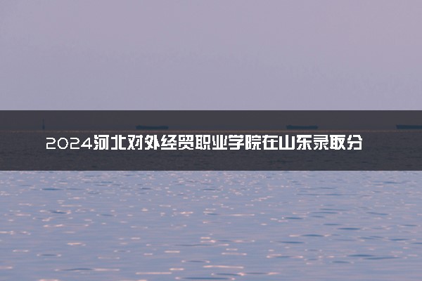 2024河北对外经贸职业学院在山东录取分数线 各专业分数及位次