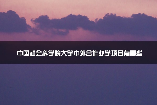 中国社会科学院大学中外合作办学项目有哪些 要出国吗
