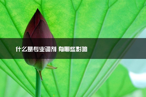 什么是专业调剂 有哪些影响
