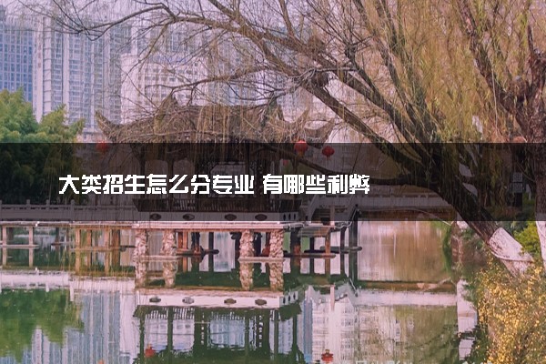 大类招生怎么分专业 有哪些利弊
