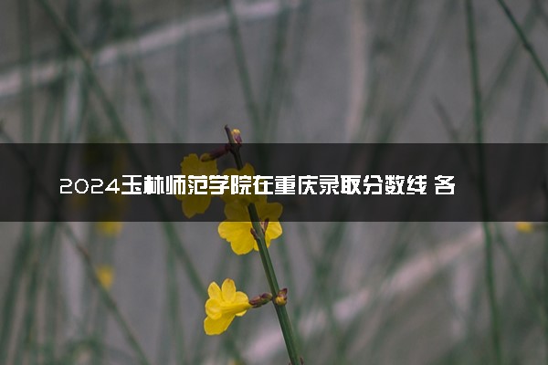 2024玉林师范学院在重庆录取分数线 各专业分数及位次