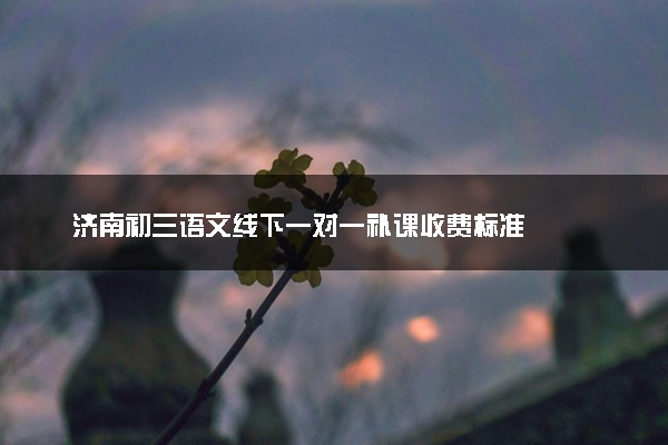 济南初三语文线下一对一补课收费标准