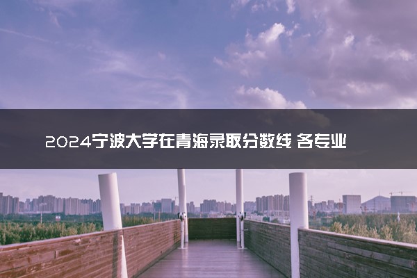 2024宁波大学在青海录取分数线 各专业分数及位次