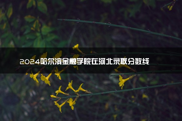 2024哈尔滨金融学院在河北录取分数线 各专业分数及位次