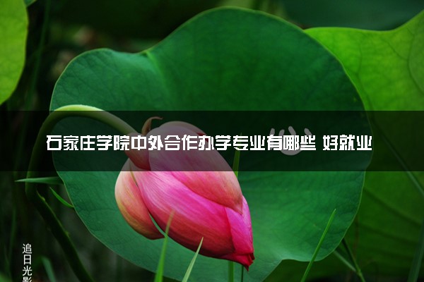 石家庄学院中外合作办学专业有哪些 好就业吗