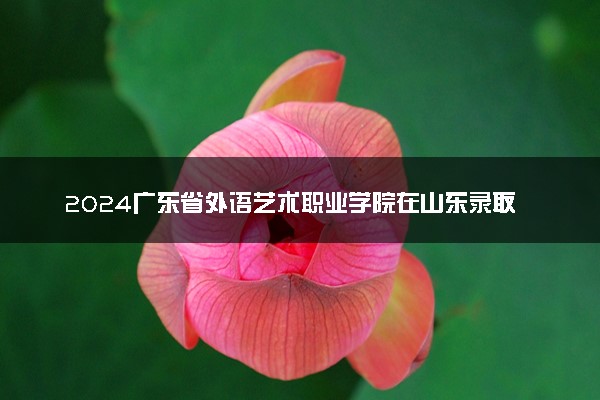 2024广东省外语艺术职业学院在山东录取分数线 各专业分数及位次