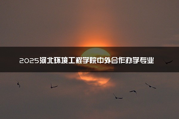 2025河北环境工程学院中外合作办学专业有哪些 代码是什么