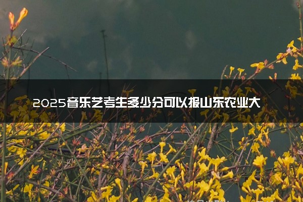 2025音乐艺考生多少分可以报山东农业大学