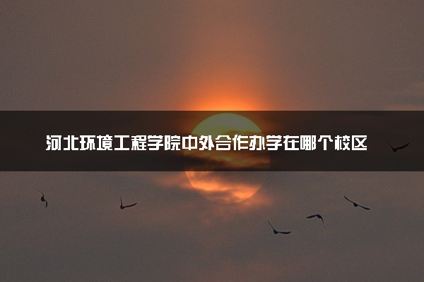 河北环境工程学院中外合作办学在哪个校区 在什么地方