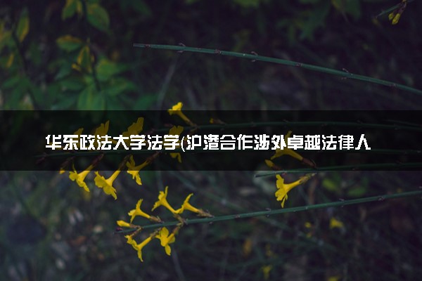 华东政法大学法学（沪港合作涉外卓越法律人才实验班）专业怎么样 录取分数线多少