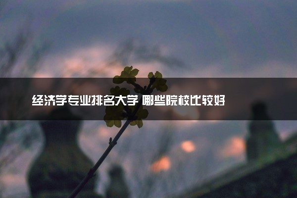 经济学专业排名大学 哪些院校比较好