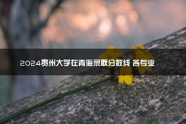 2024贵州大学在青海录取分数线 各专业分数及位次