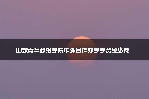 山东青年政治学院中外合作办学学费多少钱 各专业收费标准