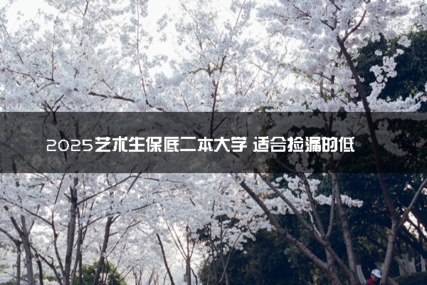 2025艺术生保底二本大学 适合捡漏的低分二本院校