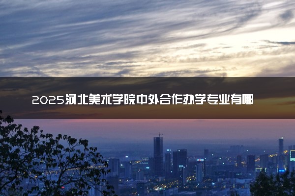2025河北美术学院中外合作办学专业有哪些 代码是什么