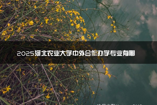 2025河北农业大学中外合作办学专业有哪些 代码是什么
