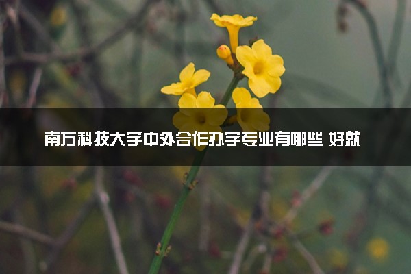 南方科技大学中外合作办学专业有哪些 好就业吗