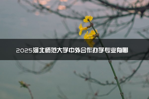 2025河北师范大学中外合作办学专业有哪些 代码是什么