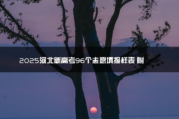 2025河北新高考96个志愿填报样表 附志愿填报设置及规则
