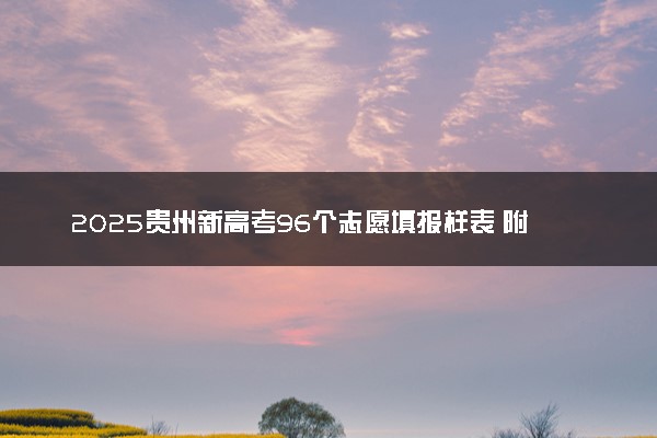 2025贵州新高考96个志愿填报样表 附志愿填报设置及规则