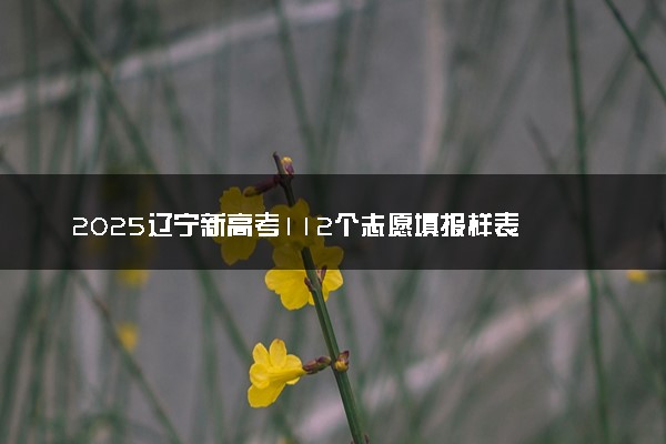 2025辽宁新高考112个志愿填报样表 附志愿填报设置及规则