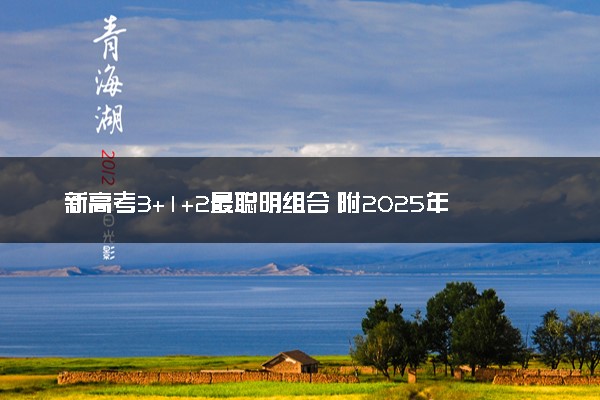 新高考3+1+2最聪明组合 附2025年选科专业对照表