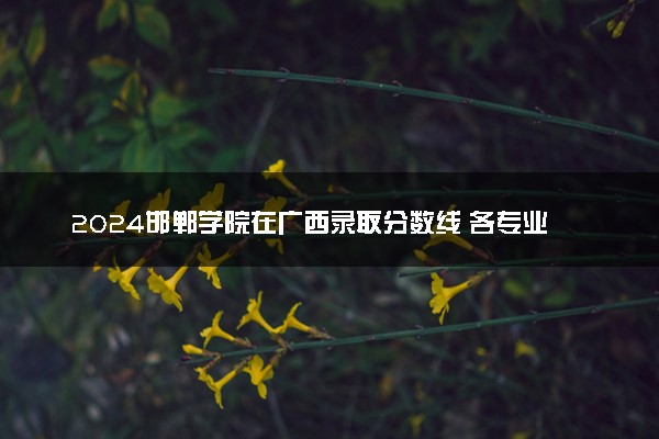 2024邯郸学院在广西录取分数线 各专业分数及位次
