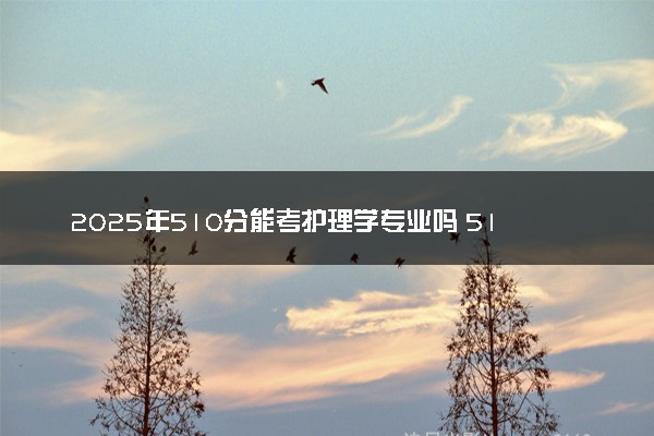 2025年510分能考护理学专业吗 510分护理学专业大学推荐