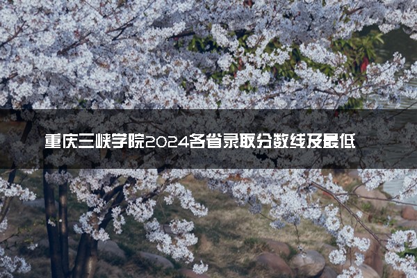重庆三峡学院2024各省录取分数线及最低位次是多少