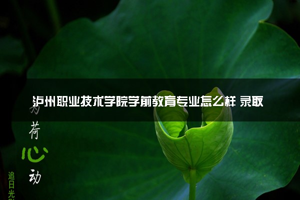 泸州职业技术学院学前教育专业怎么样 录取分数线多少