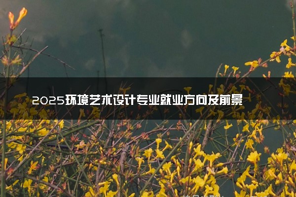 2025环境艺术设计专业就业方向及前景