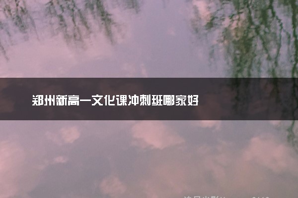 郑州新高一文化课冲刺班哪家好