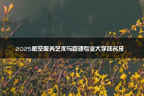 2025航空服务艺术与管理专业大学排名及录取分数线