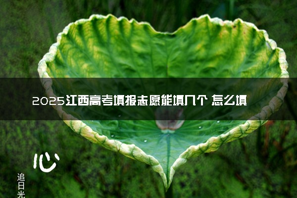 2025江西高考填报志愿能填几个 怎么填比较好