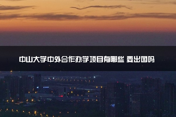 中山大学中外合作办学项目有哪些 要出国吗