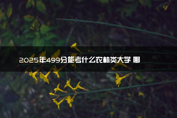 2025年499分能考什么农林类大学 哪些大学值得报