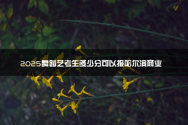 2025舞蹈艺考生多少分可以报哈尔滨商业大学