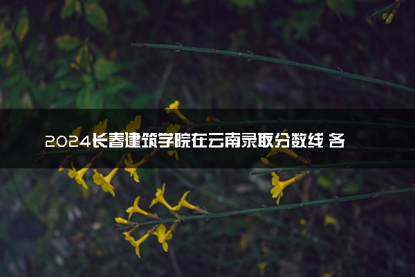 2024长春建筑学院在云南录取分数线 各专业分数及位次