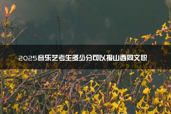 2025音乐艺考生多少分可以报山西同文职业技术学院