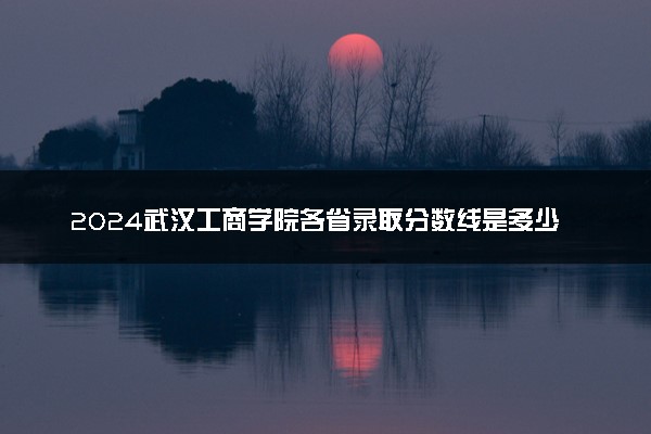 2024武汉工商学院各省录取分数线是多少 最低分及位次