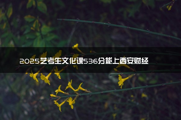2025艺考生文化课536分能上西安财经大学吗